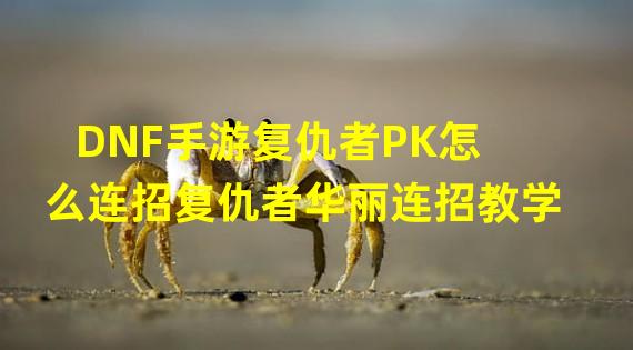 DNF手游复仇者PK怎么连招复仇者华丽连招教学