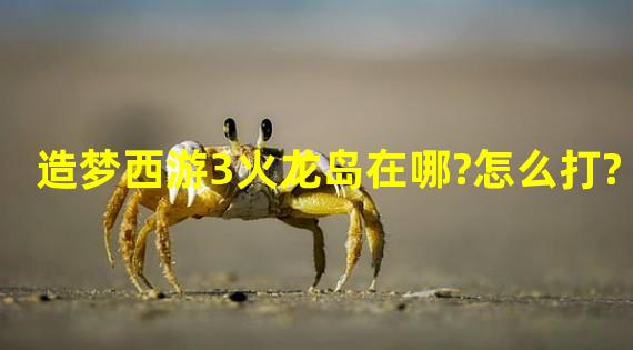 造梦西游3火龙岛在哪?怎么打?