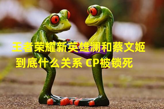 王者荣耀新英雄澜和蔡文姬到底什么关系 CP被锁死