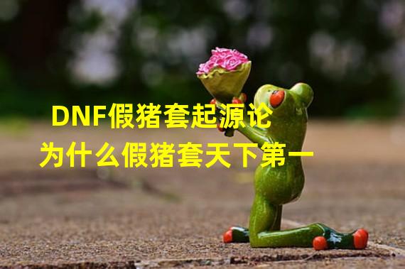 DNF假猪套起源论 为什么假猪套天下第一