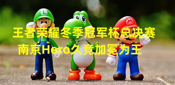 王者荣耀冬季冠军杯总决赛南京Hero久竞加冕为王