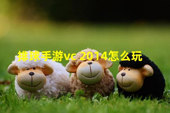 排球手游vc 2014怎么玩