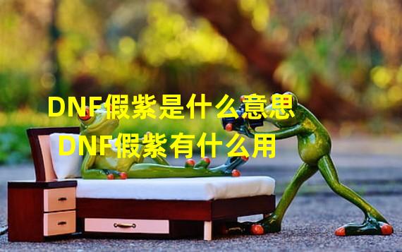 DNF假紫是什么意思 DNF假紫有什么用