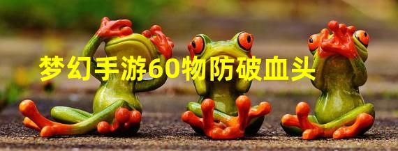 梦幻手游60物防破血头