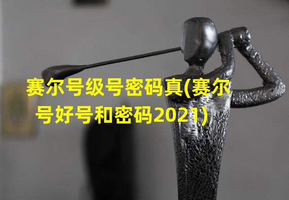 赛尔号级号密码真(赛尔号好号和密码2021)