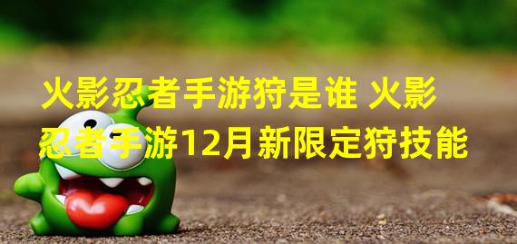 火影忍者手游狩是谁 火影忍者手游12月新限定狩技能