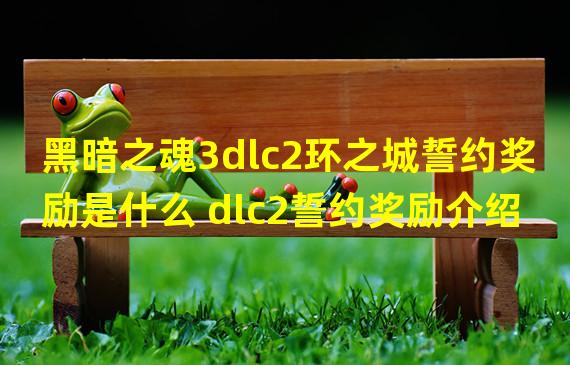 黑暗之魂3dlc2环之城誓约奖励是什么 dlc2誓约奖励介绍