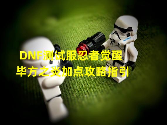 DNF测试服忍者觉醒毕方之炎加点攻略指引