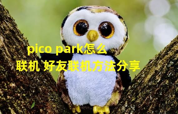 pico park怎么联机 好友联机方法分享