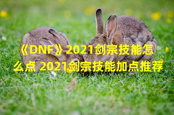 《DNF》2021剑宗技能怎么点 2021剑宗技能加点推荐