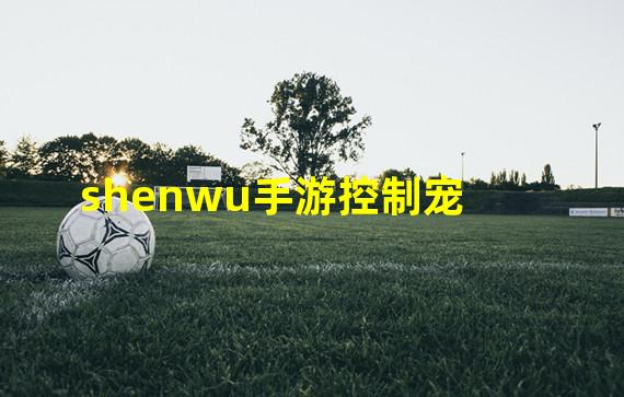 shenwu手游控制宠