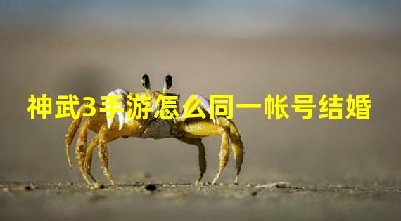 神武3手游怎么同一帐号结婚