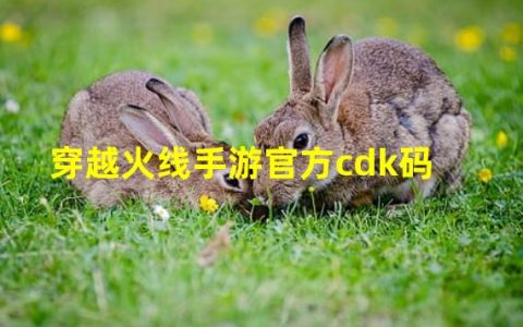 穿越火线手游cdkey兑换码领取免费2021(穿越火线手游官方cdk码)