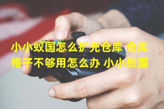 小小蚁国怎么扩充仓库 仓库格子不够用怎么办 小小蚁国