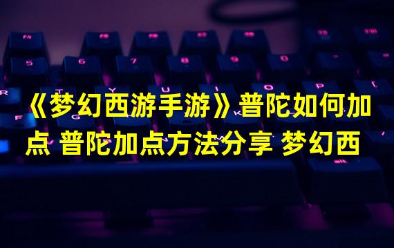 《梦幻西游手游》普陀如何加点 普陀加点方法分享 梦幻西