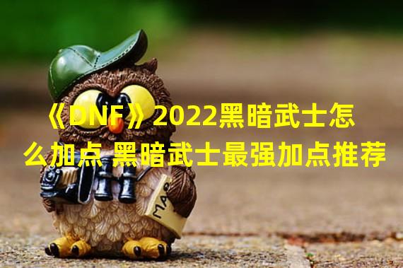 《DNF》2022黑暗武士怎么加点 黑暗武士最强加点推荐