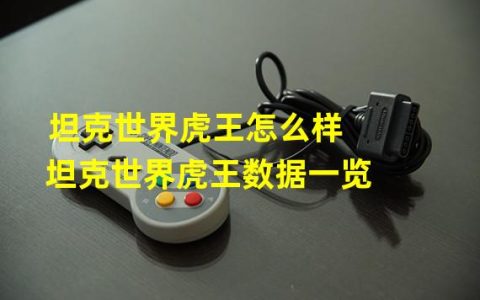 体验重口味 划时代震撼 《坦克世界虎王》上线了！娱乐与历史相融合！