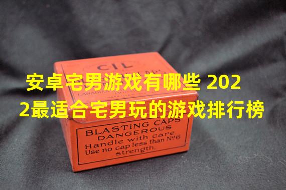 安卓宅男游戏有哪些 2022最适合宅男玩的游戏排行榜