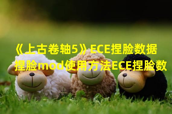 《上古卷轴5》ECE捏脸数据 捏脸mod使用方法ECE捏脸数据