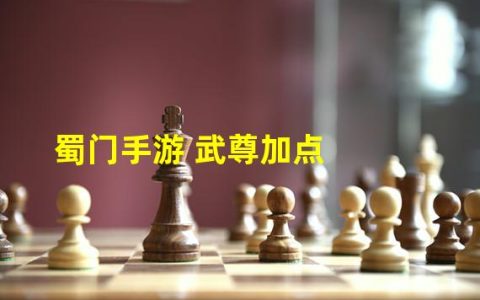 蜀门武尊攻略(蜀门手游 武尊加点)