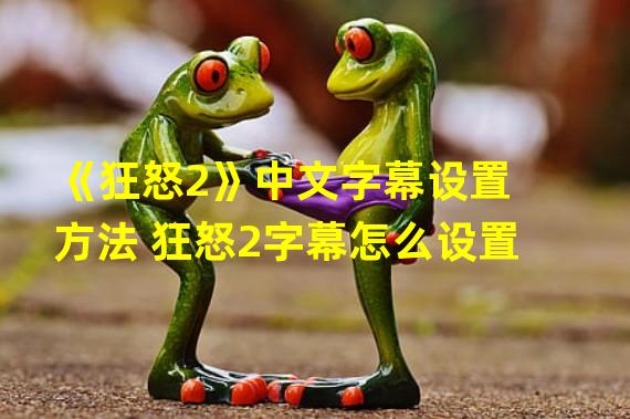 《狂怒2》中文字幕设置方法 狂怒2字幕怎么设置