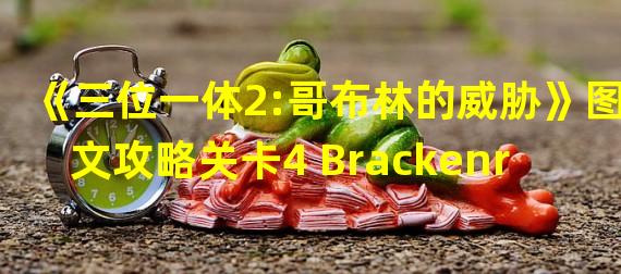 《三位一体2:哥布林的威胁》图文攻略关卡4 Brackenride