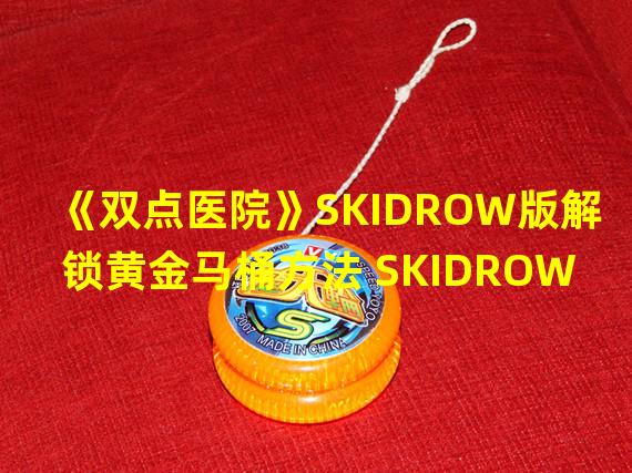 《双点医院》SKIDROW版解锁黄金马桶方法 SKIDROW版