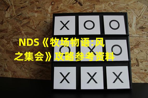 NDS《牧场物语:风之集会》攻略参考资料