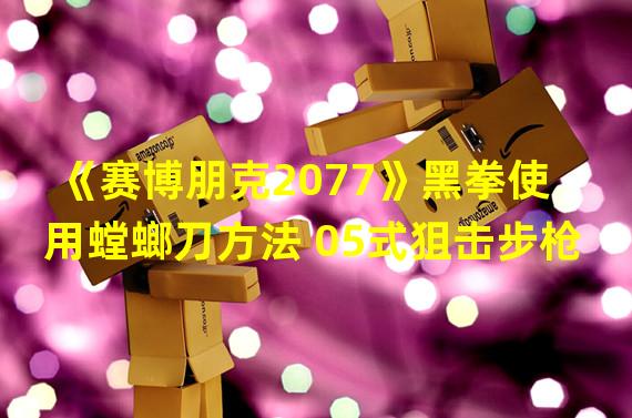 《赛博朋克2077》黑拳使用螳螂刀方法 05式狙击步枪