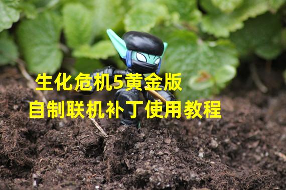 生化危机5黄金版 自制联机补丁使用教程