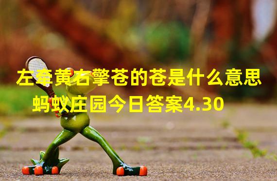 左牵黄右擎苍的苍是什么意思 蚂蚁庄园今日答案4.30