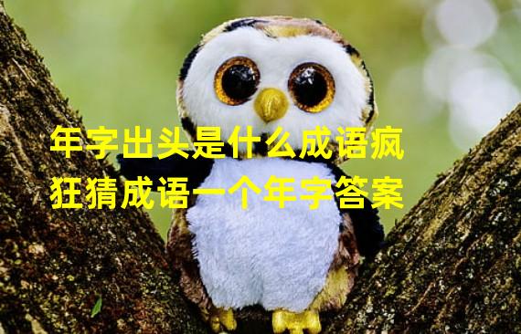 年字出头是什么成语疯狂猜成语一个年字答案