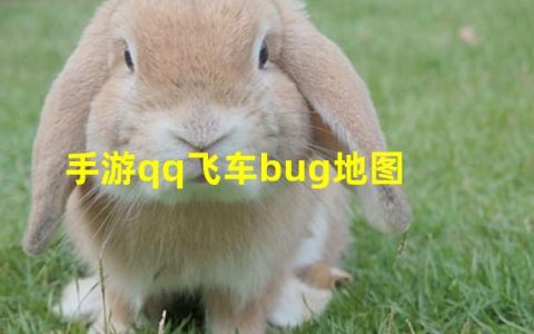 qq飞车 bug(手游qq飞车bug地图)