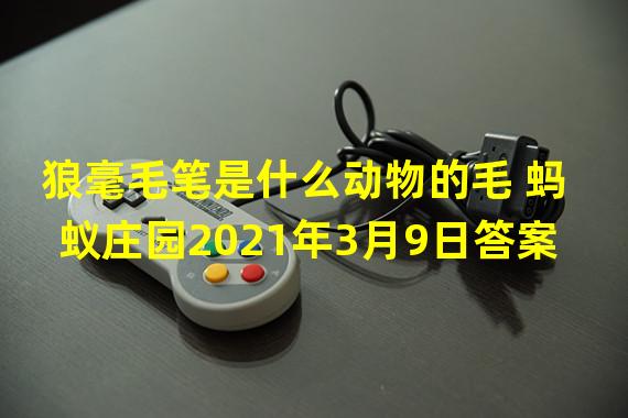 狼毫毛笔是什么动物的毛 蚂蚁庄园2021年3月9日答案