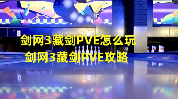 剑网3藏剑PVE怎么玩 剑网3藏剑PVE攻略