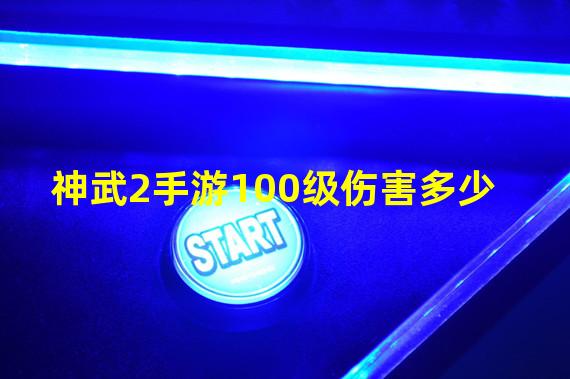 神武2手游100级伤害多少