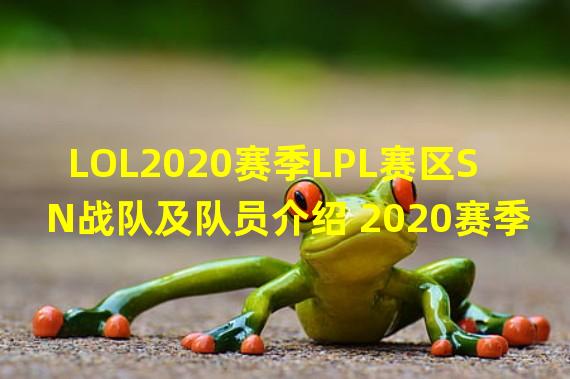 LOL2020赛季LPL赛区SN战队及队员介绍 2020赛季SN夏季