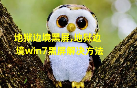 地狱边境黑屏,地狱边境win7黑屏解决方法