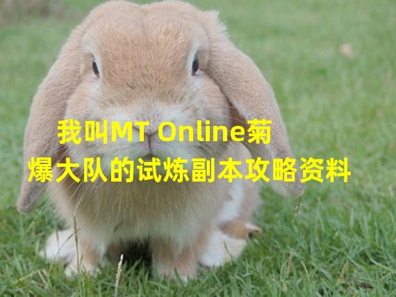 我叫MT Online菊爆大队的试炼副本攻略资料