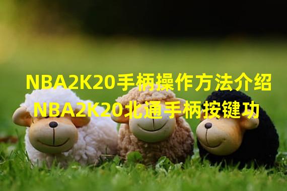 NBA2K20手柄操作方法介绍 NBA2K20北通手柄按键功能