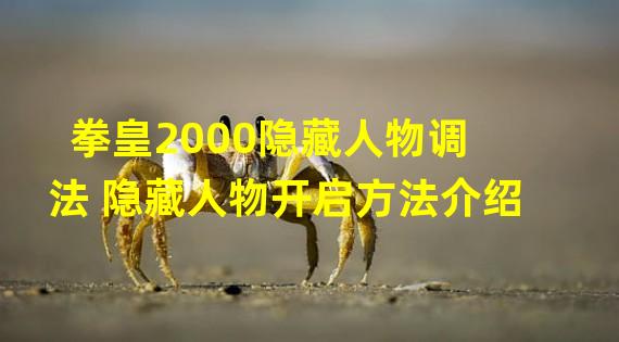 拳皇2000隐藏人物调法 隐藏人物开启方法介绍