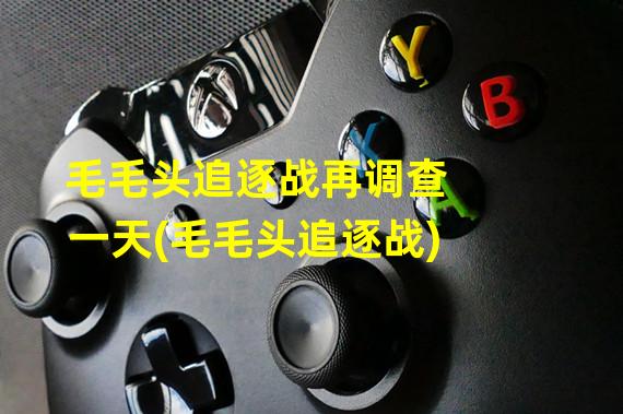 毛毛头追逐战再调查一天(毛毛头追逐战)