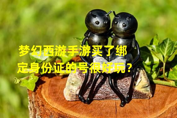 梦幻西游手游买了绑定身份证的号很好玩？