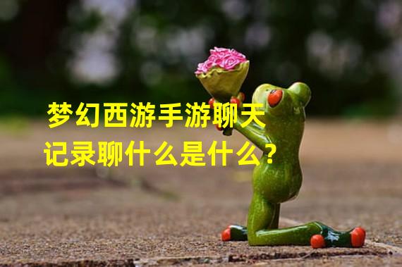 梦幻西游手游聊天记录聊什么是什么？