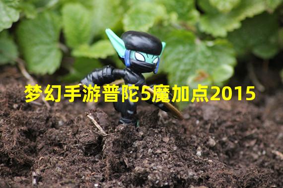 梦幻手游普陀5魔加点2015