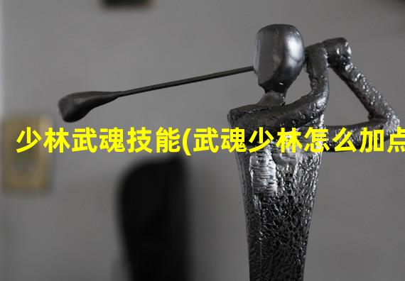 少林武魂技能(武魂少林怎么加点)