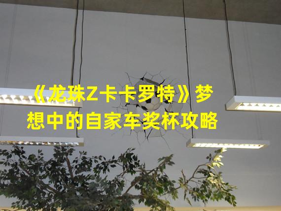 《龙珠Z卡卡罗特》梦想中的自家车奖杯攻略