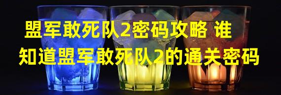 盟军敢死队2密码攻略 谁知道盟军敢死队2的通关密码