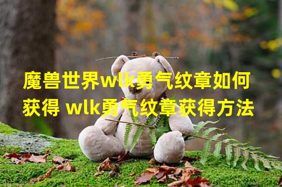 魔兽世界wlk勇气纹章如何获得 wlk勇气纹章获得方法