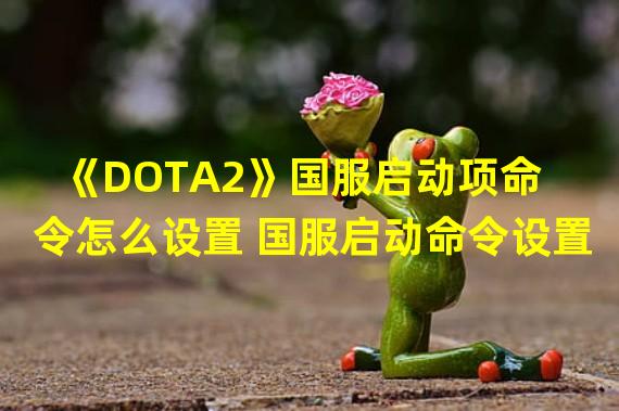 《DOTA2》国服启动项命令怎么设置 国服启动命令设置